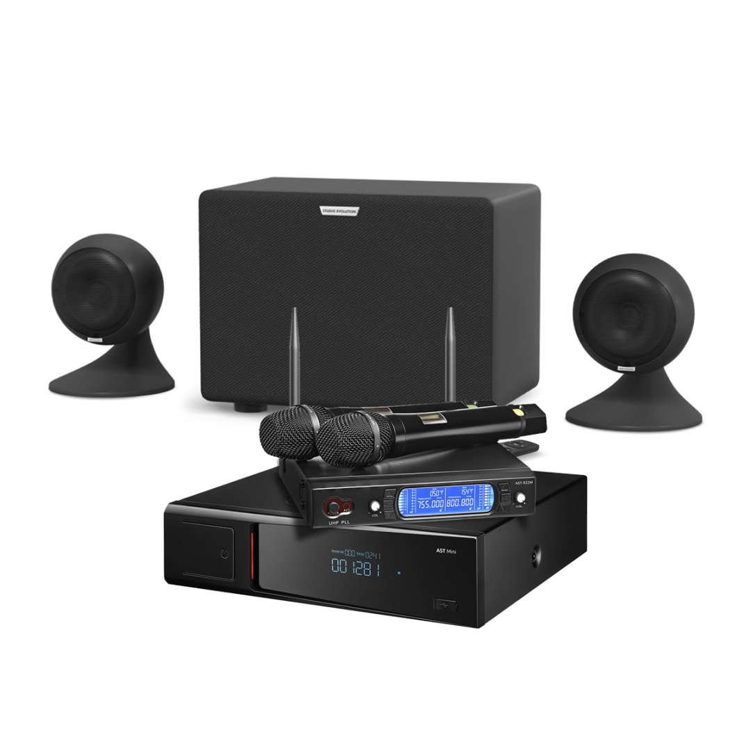 караоке-комплект AST Mini Sound Sphere в Анадыре