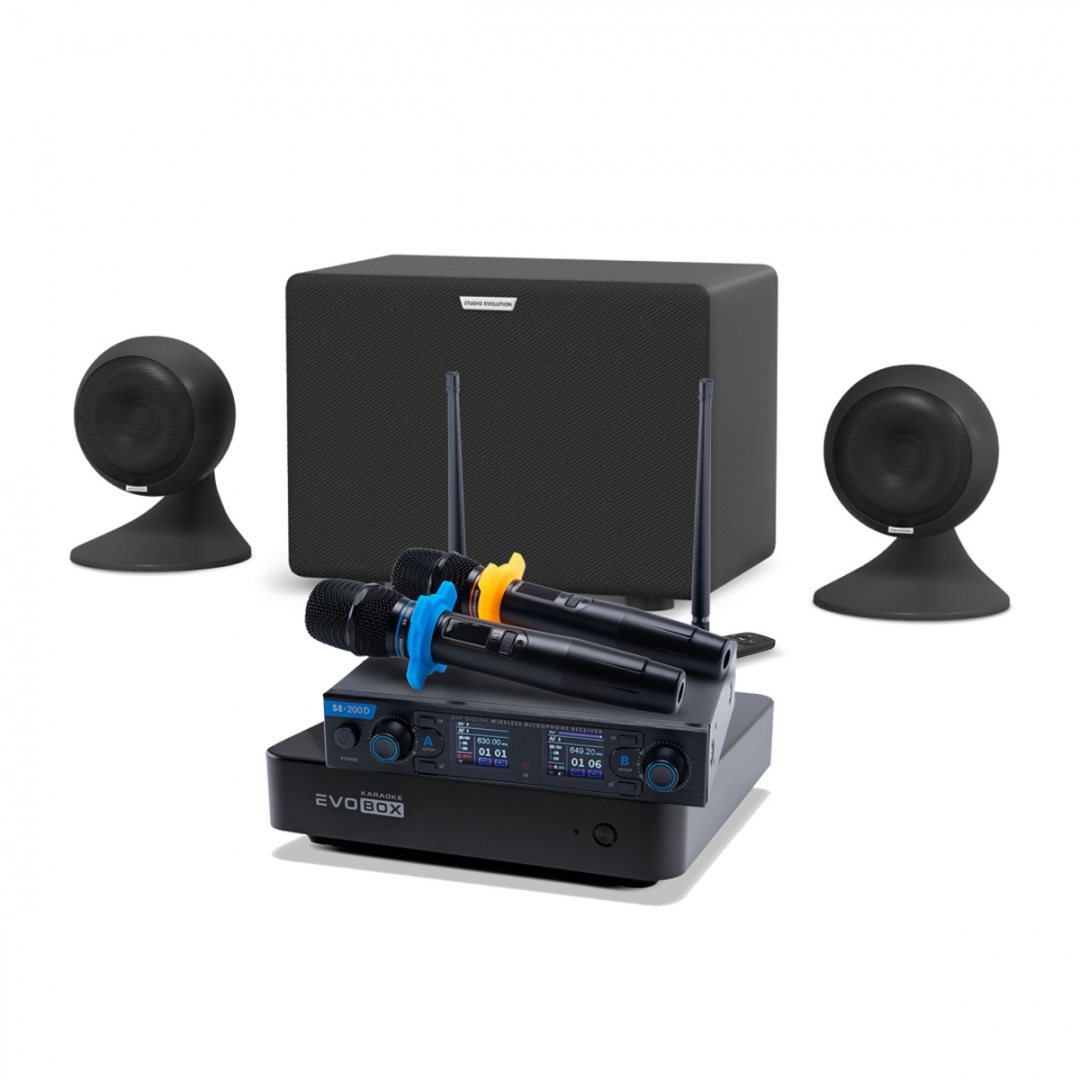 караоке-комплект EVOBOX + EvoSound Sphere 2.1 в Анадыре