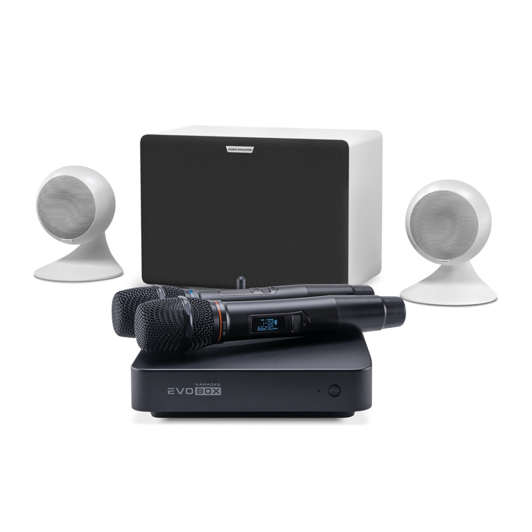 караоке-комплект EVOBOX Classic + EvoSound Sphere 2.1 в Анадыре