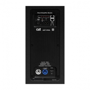Активная акустическая система AST-310A в Анадыре
