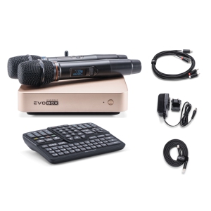 EVOBOX Classic караоке-система для дома в Анадыре