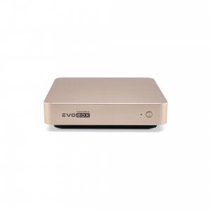 EVOBOX с микрофонами в Анадыре
